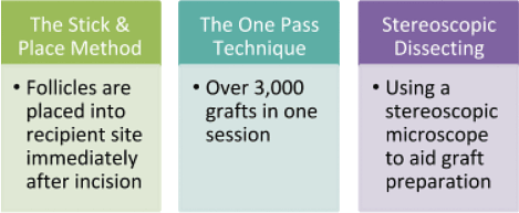 stereoscopic microscope implementation